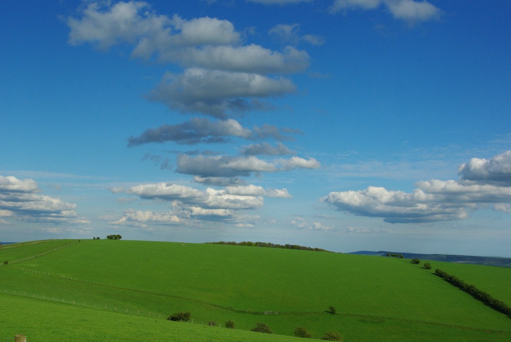 Sussex downs