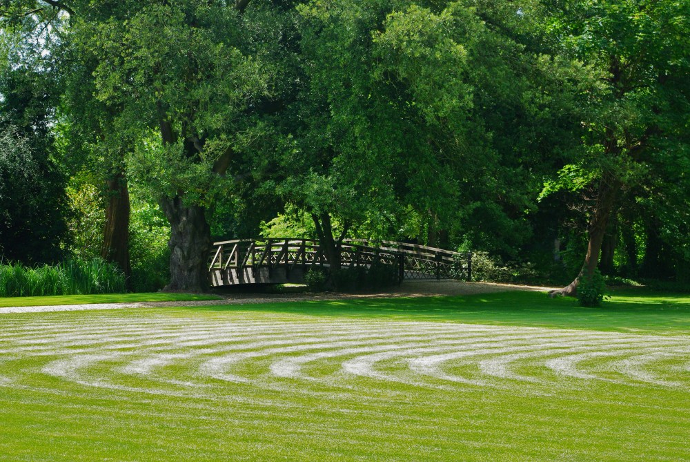 Oxford lawn