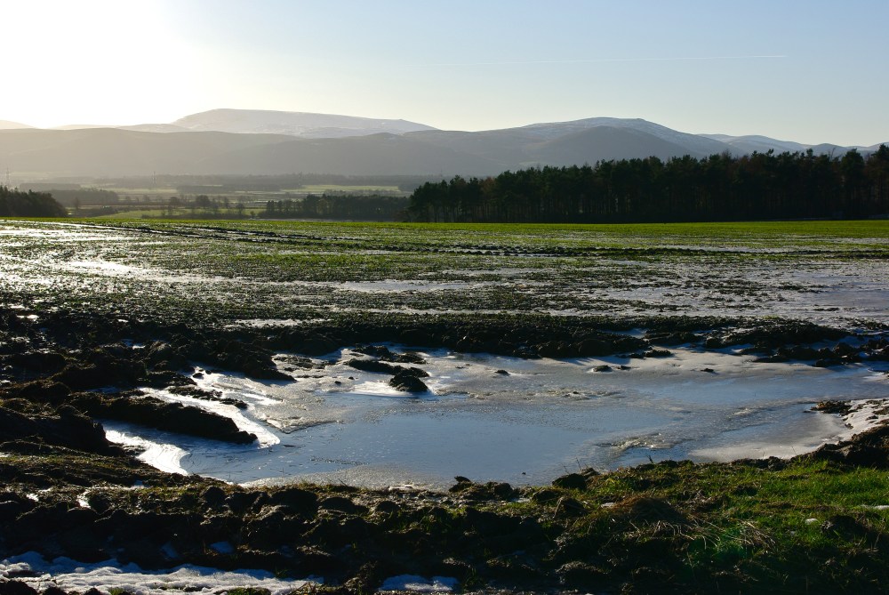 Northumberland ice