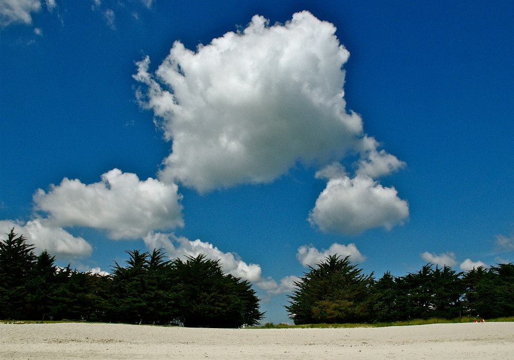 Clouds circling cedars