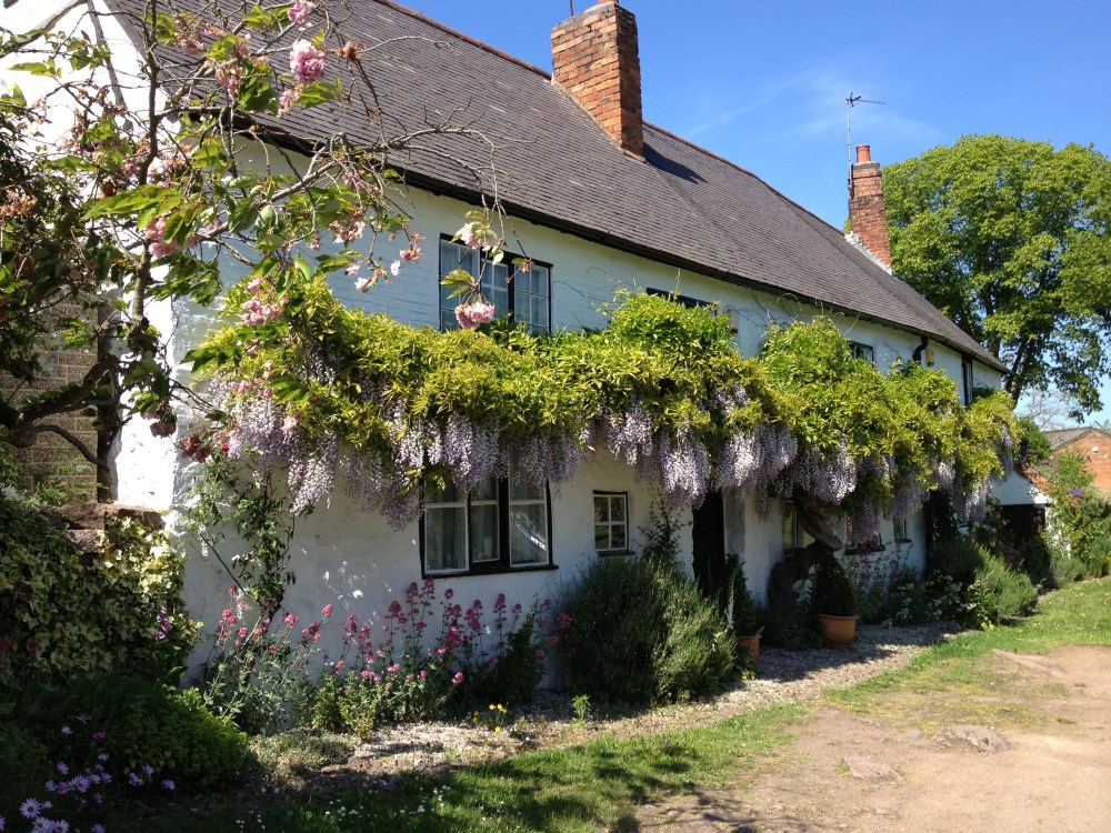 Wisteria cottage