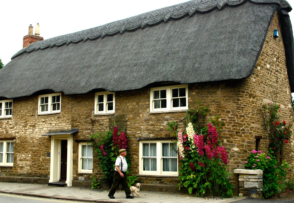 Dog-walking in Oakham