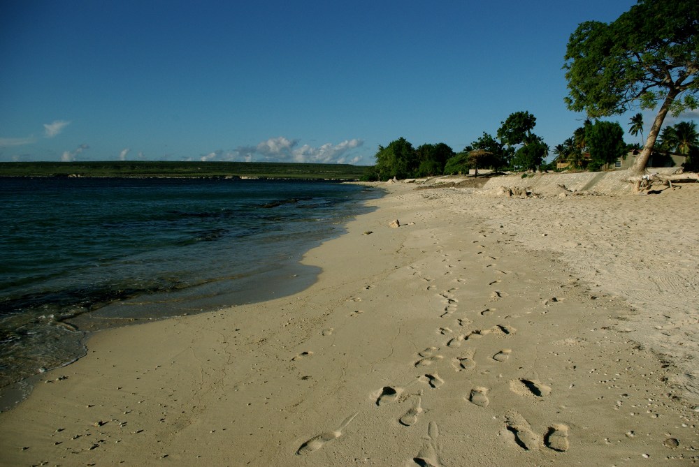 Caribbean fulfilment