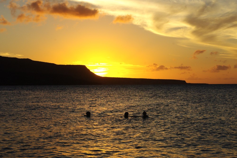 Sunset swim