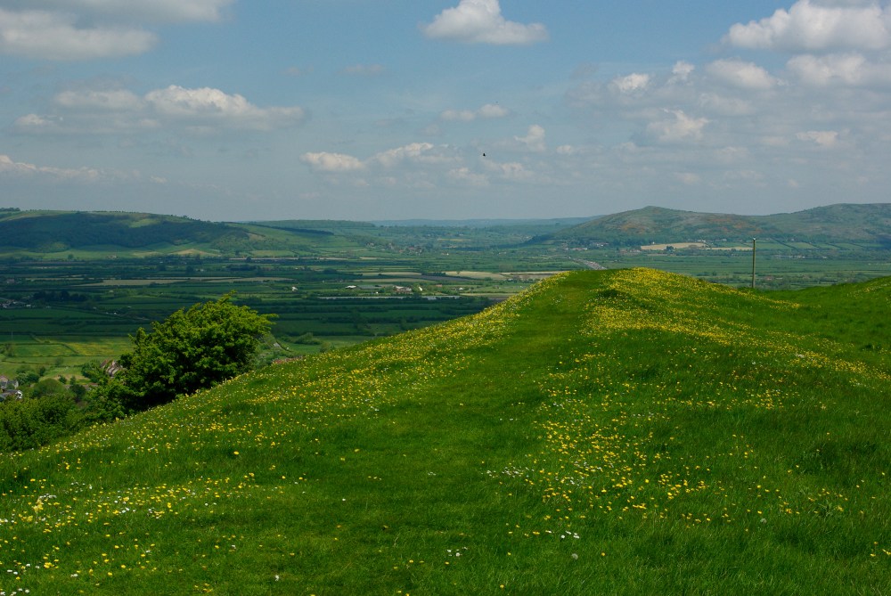 Brent Knoll