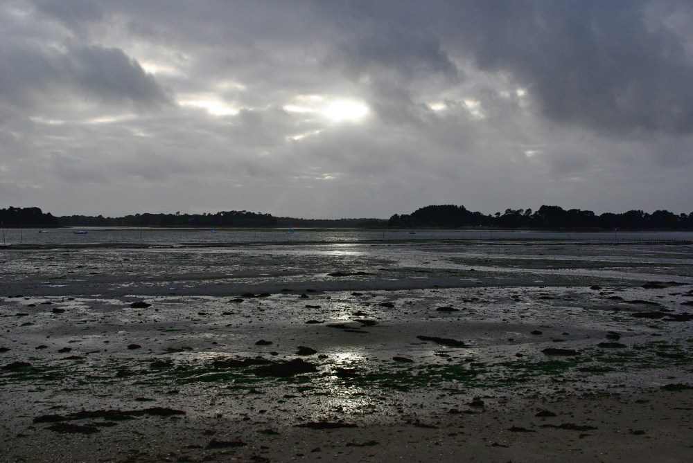 Grey estuary