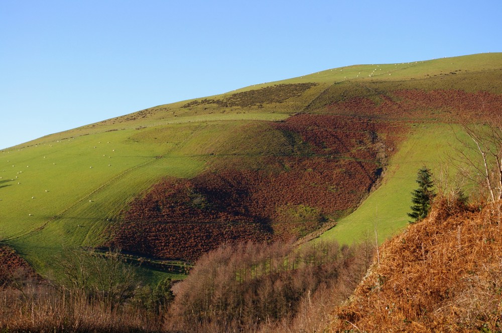 Welsh hillside
