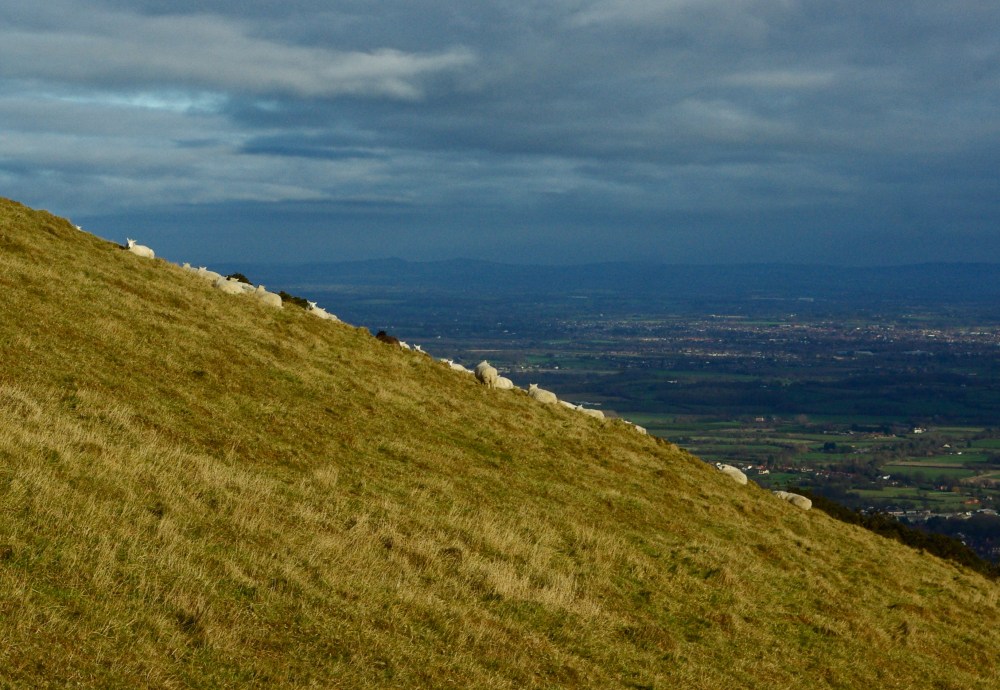 Hillside