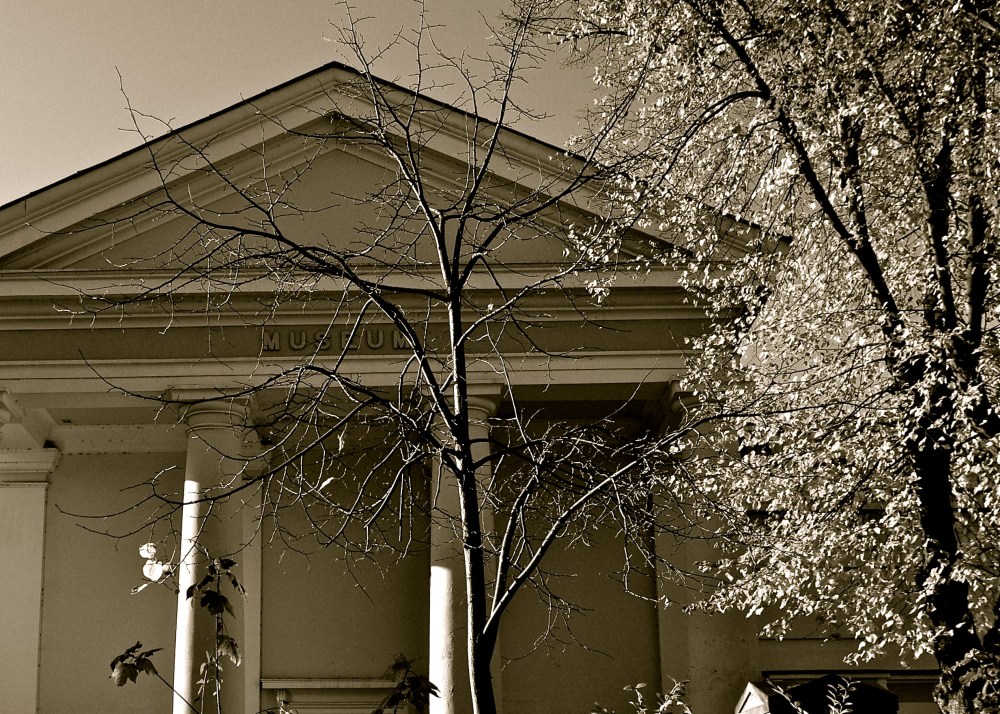 Museum/trees