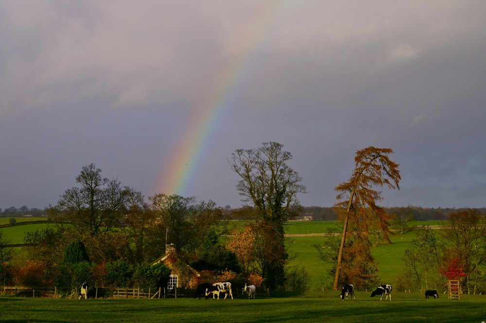 Rainbow cottage