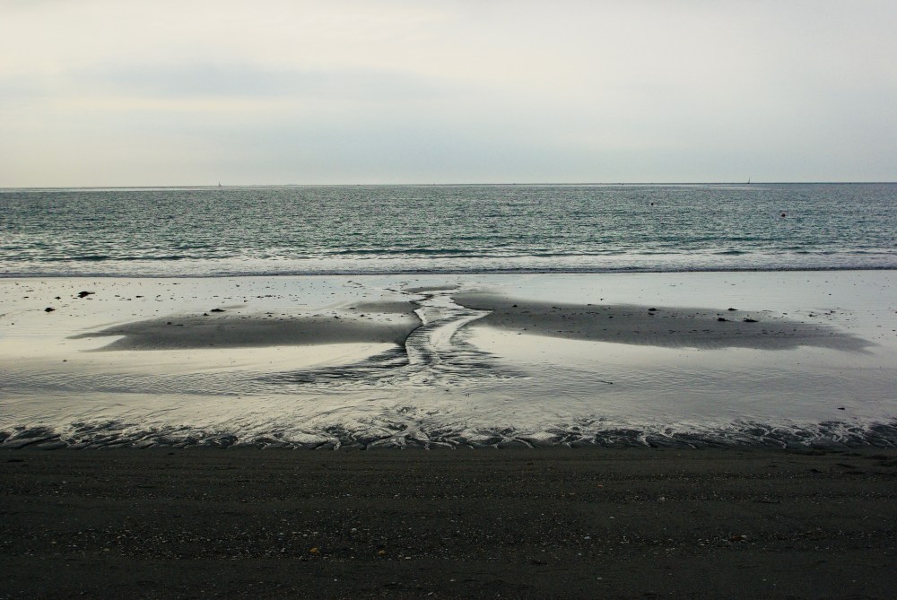 IMGP3974